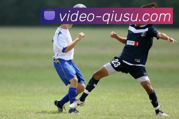 多媒体互动体验